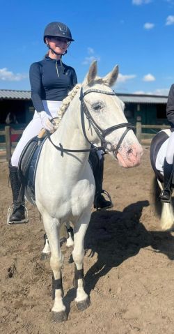 Super knappe, lieve d pony🌸